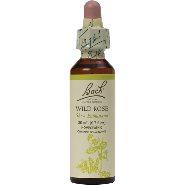 Wild Rose Bach Flower Remedy